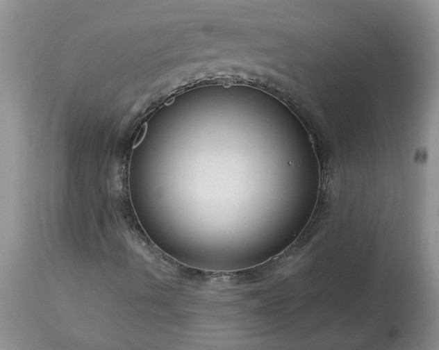 X0000113611490200910021752