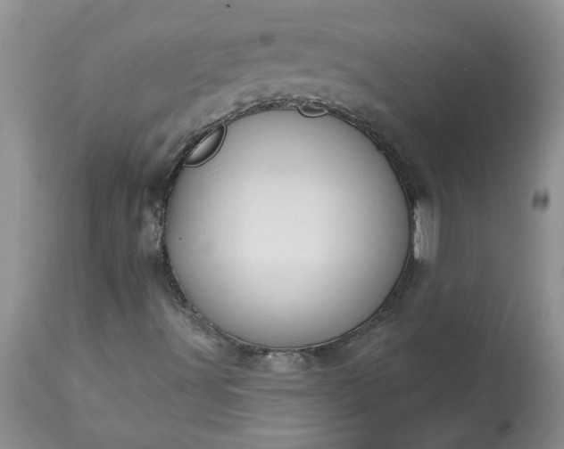 X0000113611491200910021752