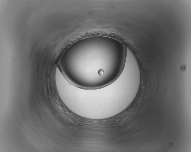 X0000113611492200910021752