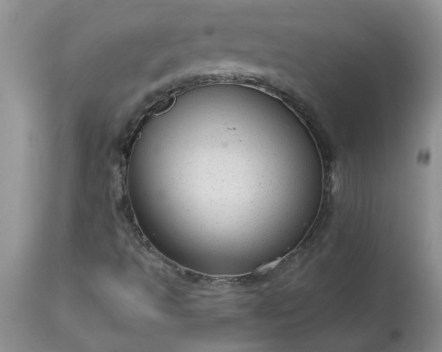 X0000113611493200910021752