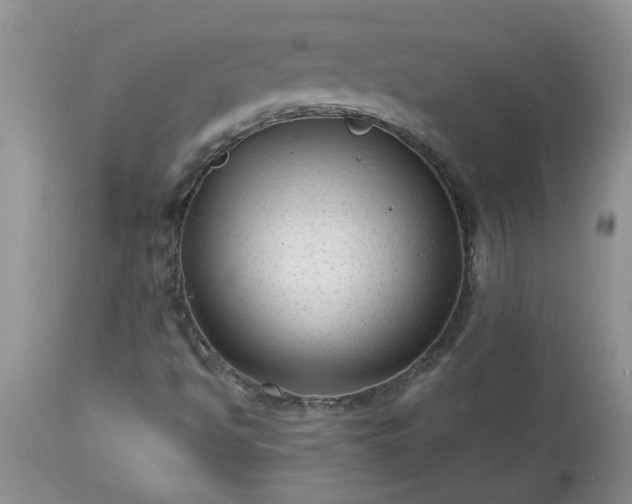 X0000113611494200910021752