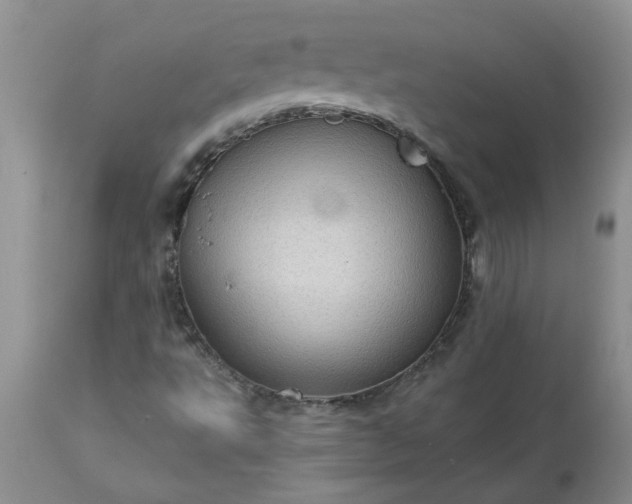 X0000113611495200910021752