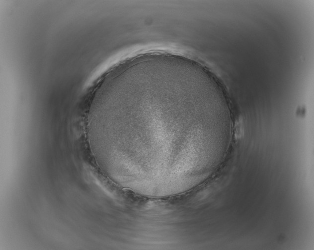 X0000113611496200910021752