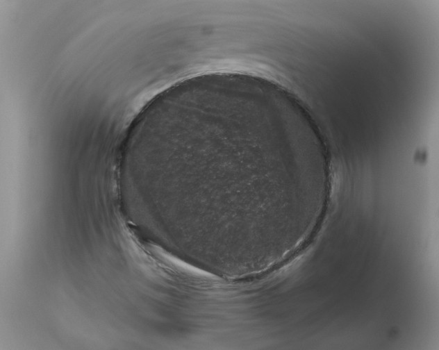 X0000113611497200910021752