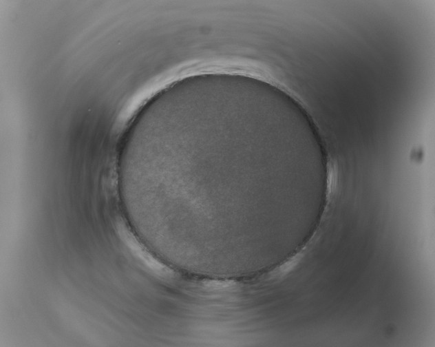 X0000113611498200910021752