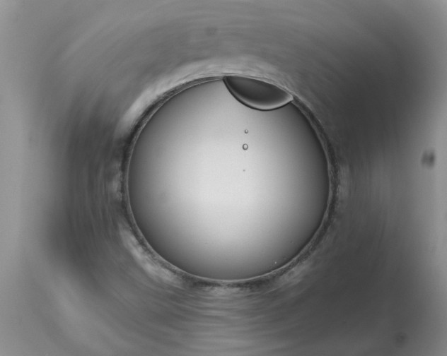 X0000113611499200910021752