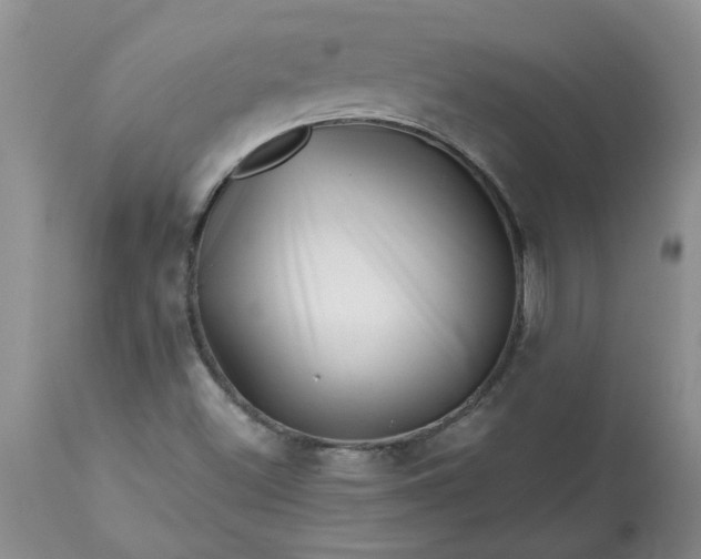 X0000113611500200910021752