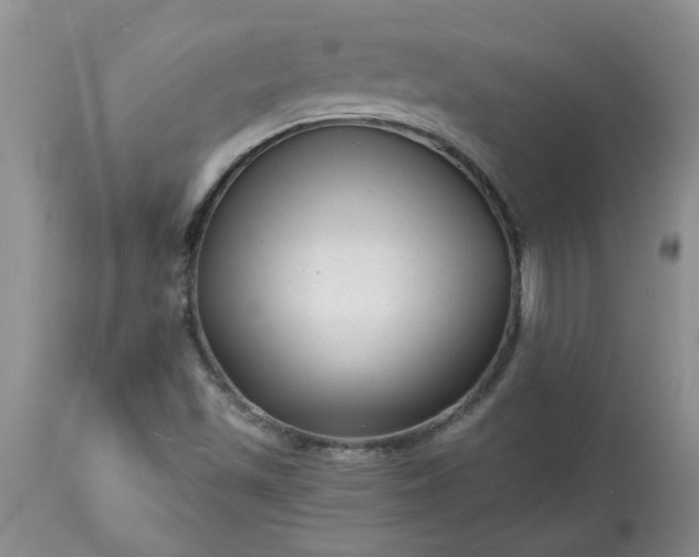 X0000113611501200910021752