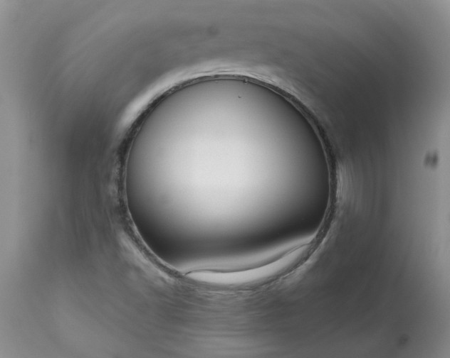 X0000113611502200910021752