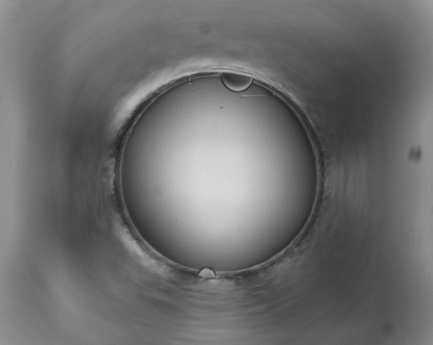 X0000113611503200910021752