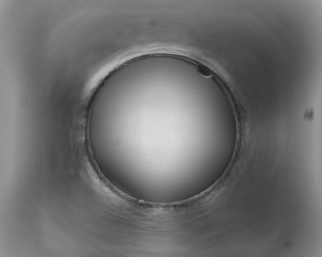 X0000113611504200910021752