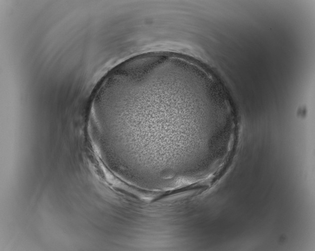 X0000113611505200910021752