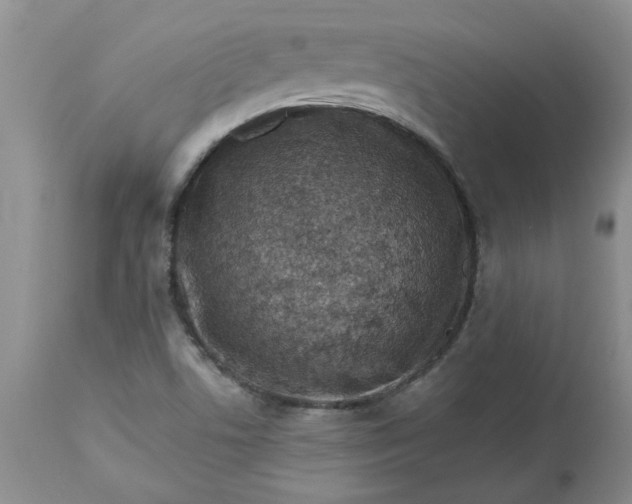 X0000113611506200910021752