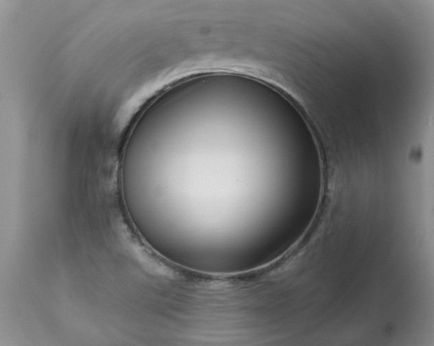 X0000113611507200910021752