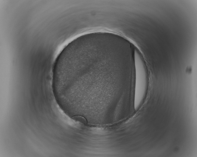 X0000113611508200910021752