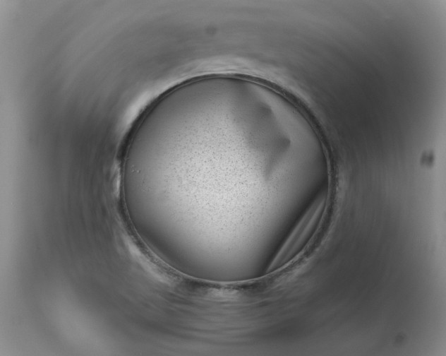 X0000113611509200910021752