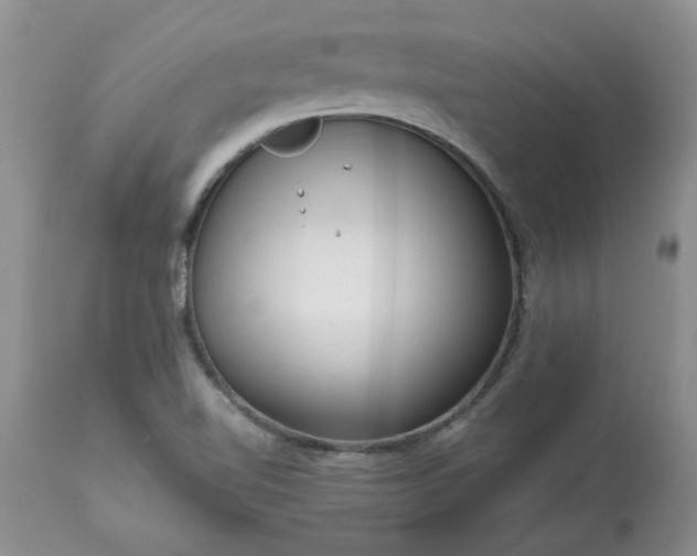 X0000113611510200910021752