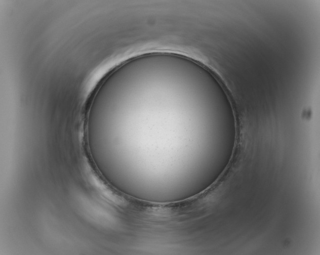 X0000113611511200910021752