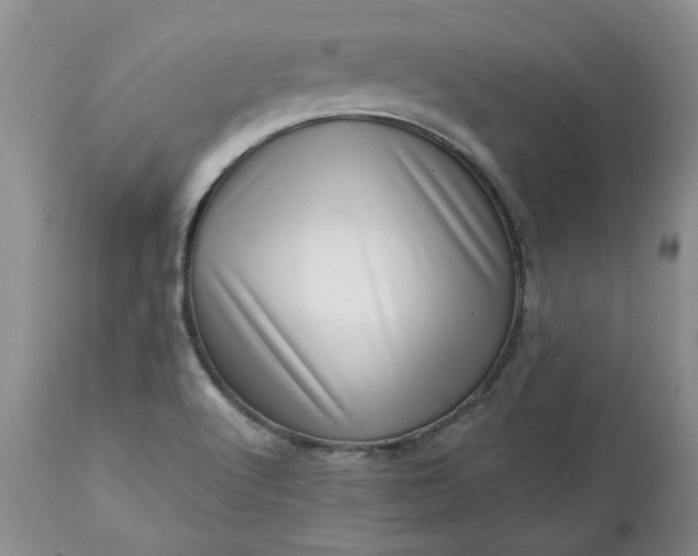 X0000113611512200910021752