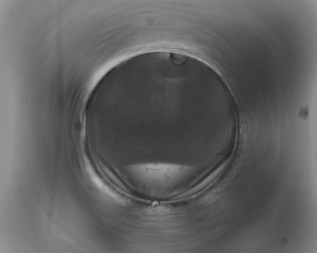 X0000113611515200910021752