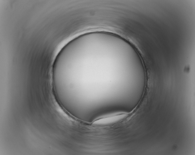 X0000113611516200910021752