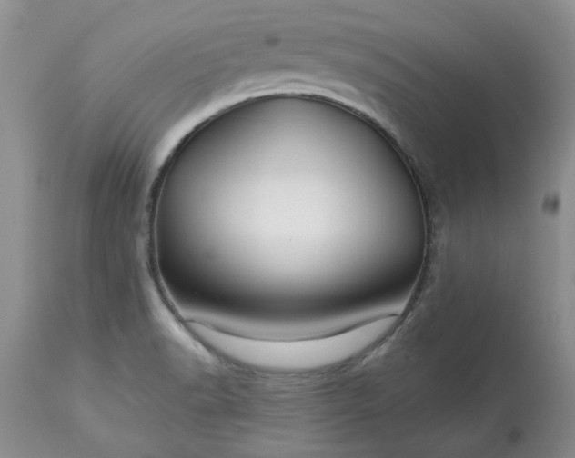 X0000113611518200910021752