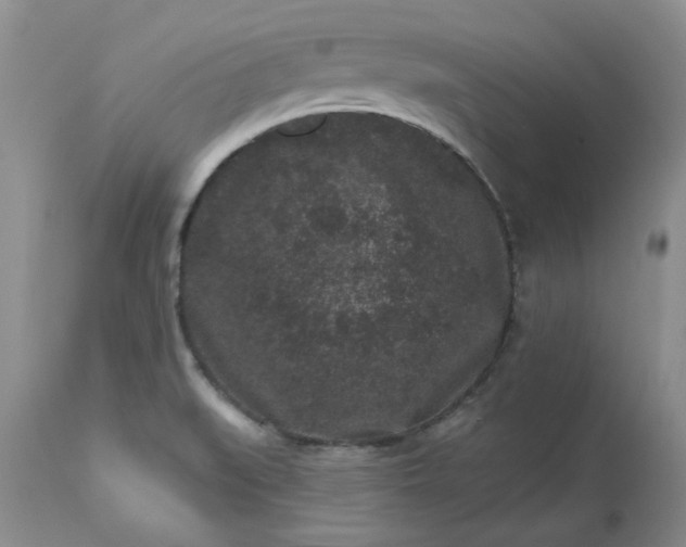 X0000113611519200910021752