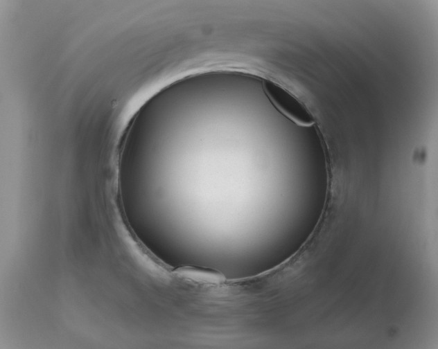 X0000113611520200910021752