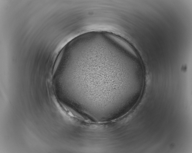 X0000113611521200910021752