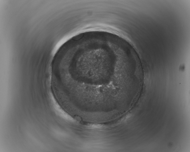 X0000113611522200910021752