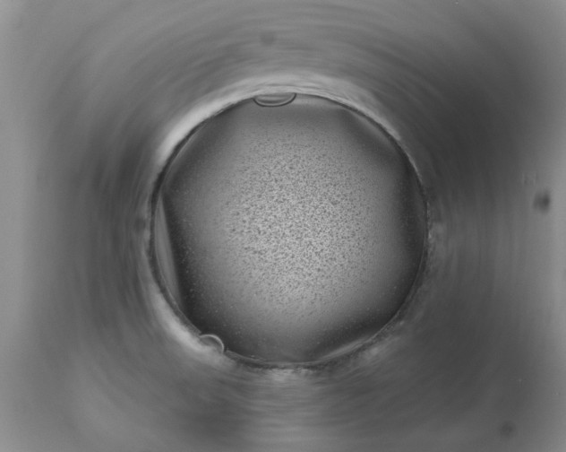 X0000113611523200910021752