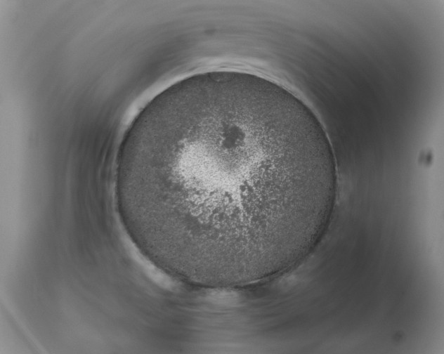 X0000113611525200910021752