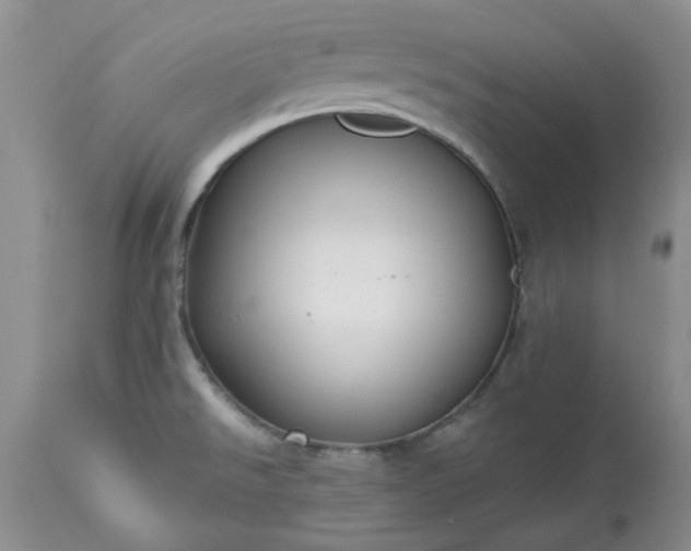 X0000113611526200910021753