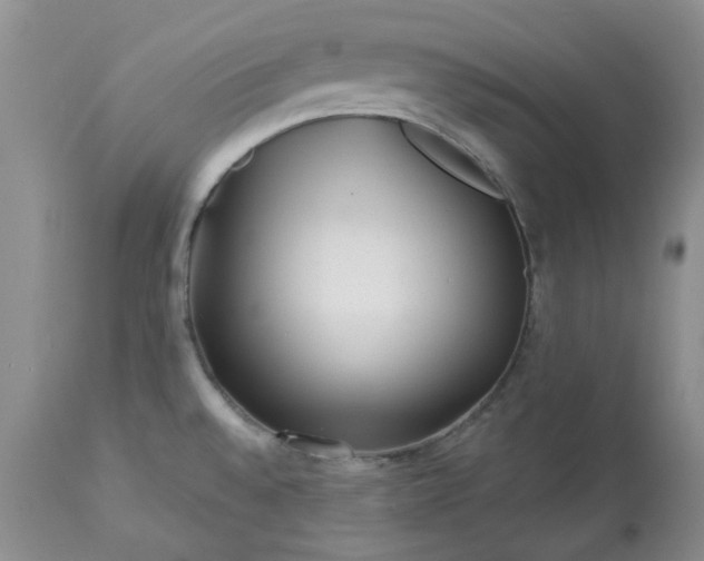 X0000113611528200910021753