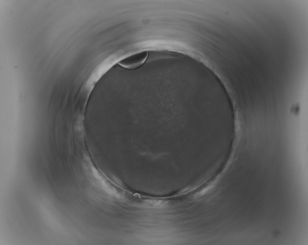 X0000113611529200910021753