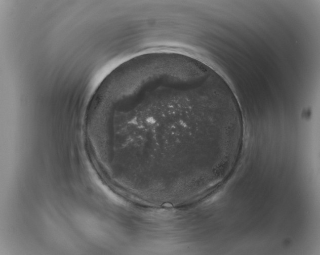 X0000113611533200910021753