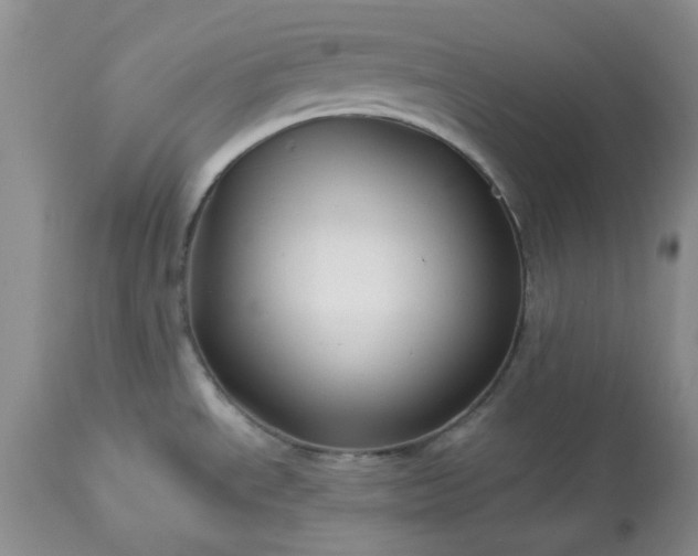 X0000113611534200910021753