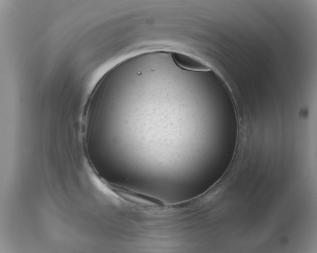 X0000113611535200910021753