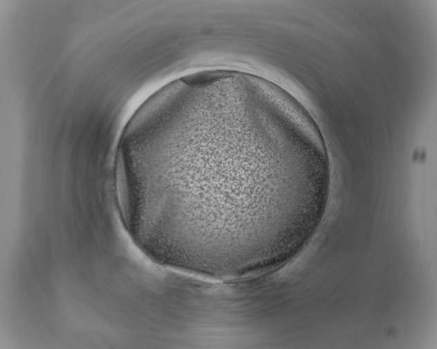 X0000113611536200910021753