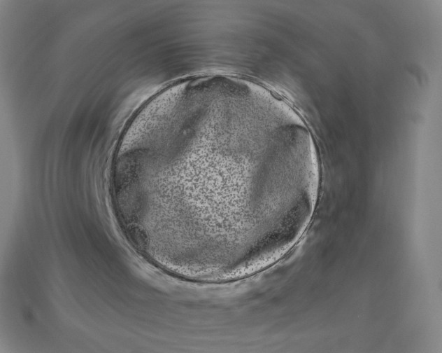 X0000113610001200910091551