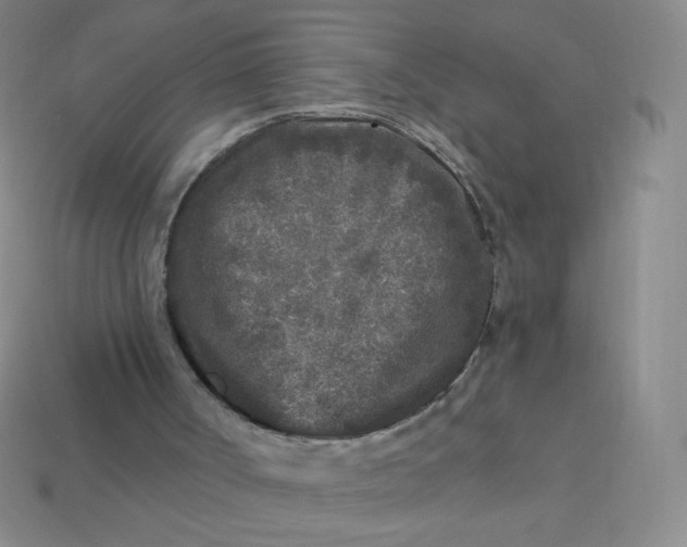 X0000113610002200910091551