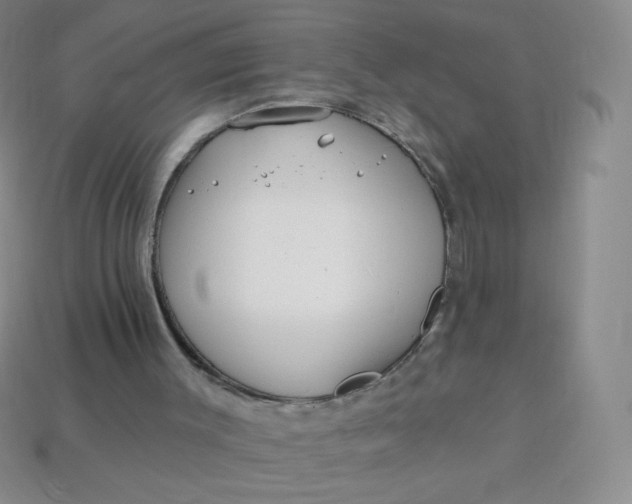 X0000113610003200910091551