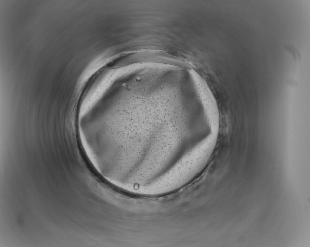 X0000113610004200910091551