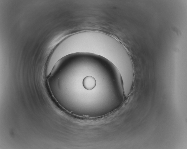 X0000113610005200910091551