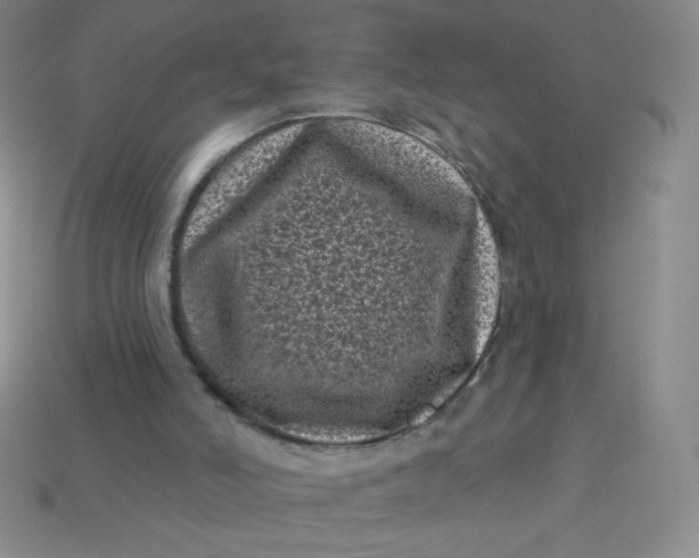 X0000113610006200910091551