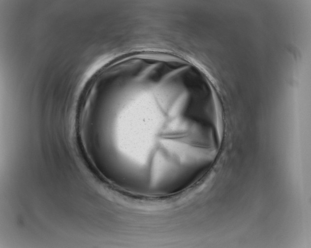 X0000113610008200910091551