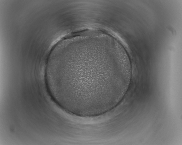 X0000113610010200910091551