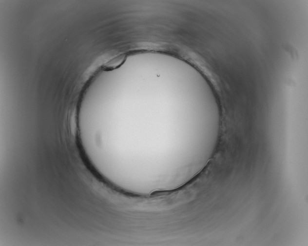 X0000113610011200910091551