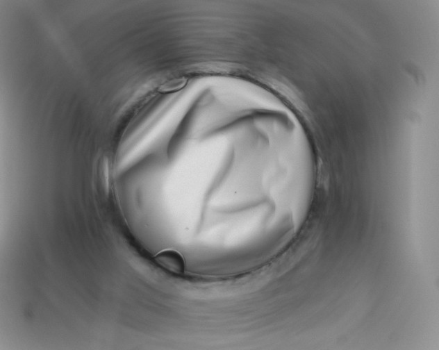 X0000113610013200910091551