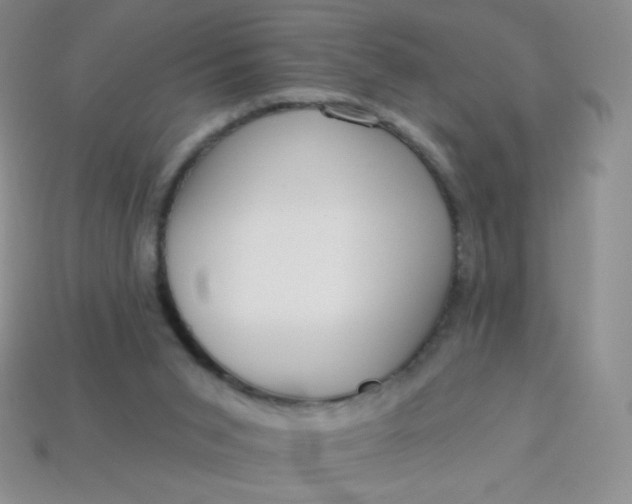 X0000113610015200910091551